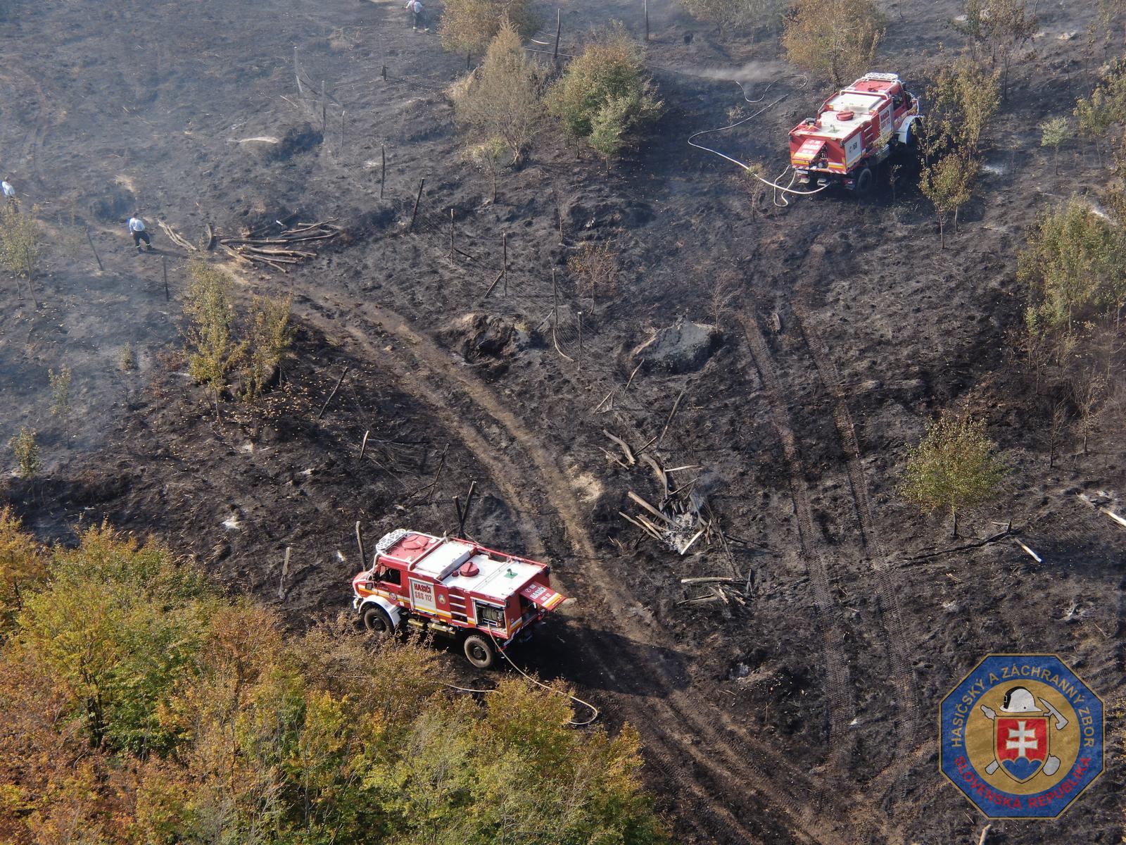 Slovakia experienced several forest fires