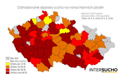 Czech Government Reactivates National Drought Coalition