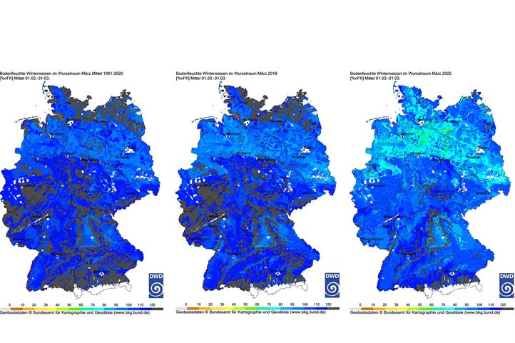 Clim4Cast Featured in Recent Press Coverage on Drought in Germany