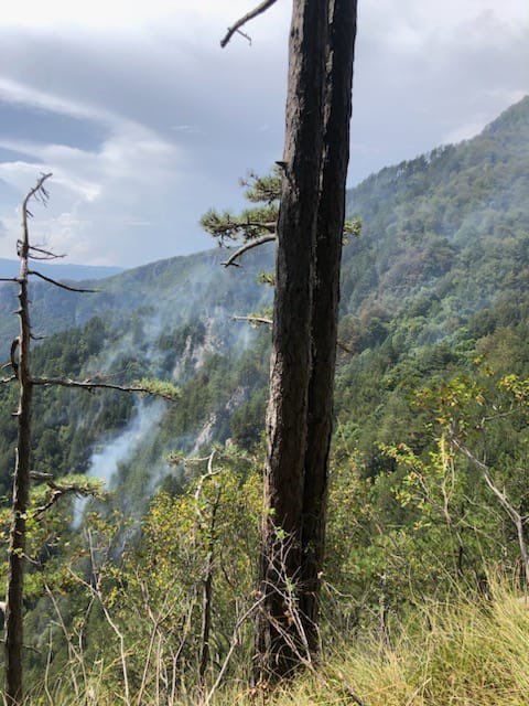 Large fire near Kočevska Reka, air tractors are helping to extinguish it